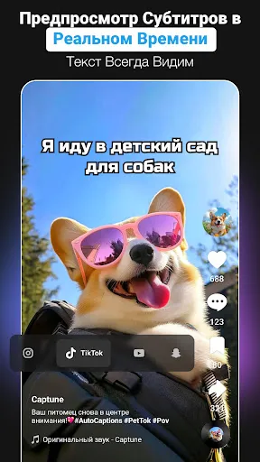 Скриншот 8 — Caption AI: Субтитры для видео