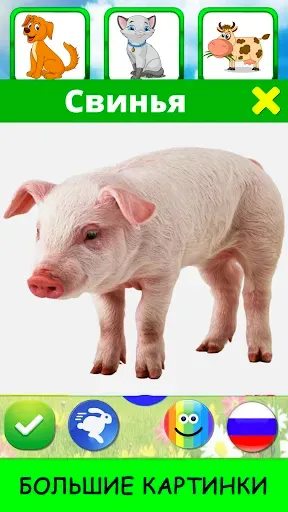 Скриншот 2 — Звуки животных - учим зверей