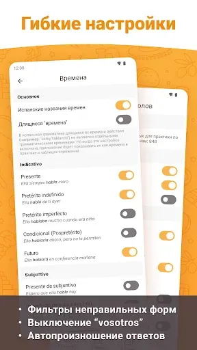Скриншот 5 — ConjuGato — Испанские глаголы