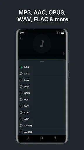 Скриншот 2 — Audio Converter (MP3 AAC OPUS)