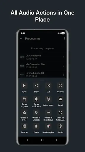 Скриншот 7 — Audio Converter (MP3 AAC OPUS)