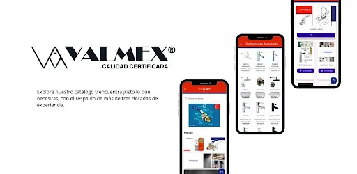 Скриншот 1 — VALMEX