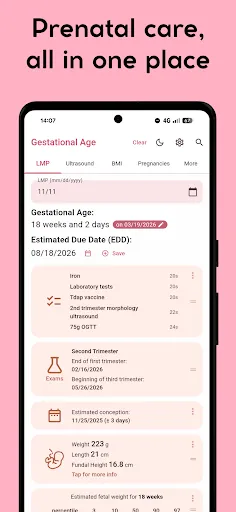 Скриншот 1 — Gestational Age (baby's age)
