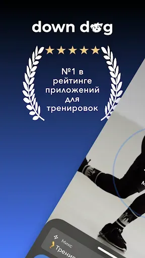 Скриншот 1 — ВИИТ | Down Dog