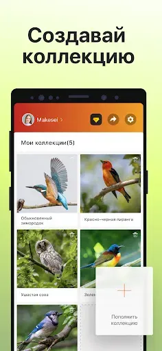 Скриншот 6 — Picture Bird - Распознать птиц