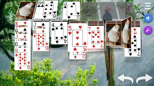 Скриншот 7 — Solitaire 3D