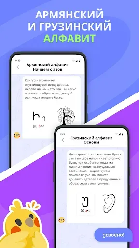 Скриншот 2 — Alfabird: грузинский армянский