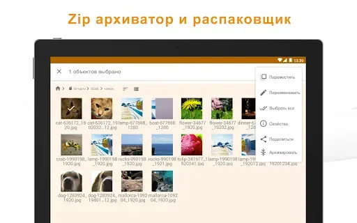 Скриншот 6 — Менеджер Файлов ASTRO