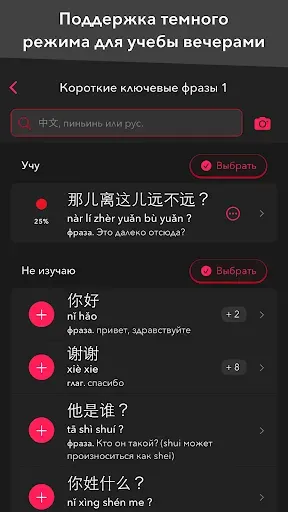 Скриншот 4 — trainchinese