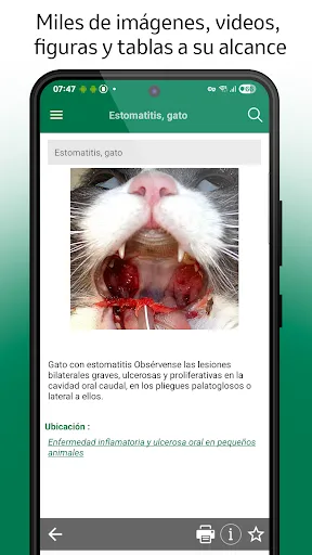 Скриншот 3 — Manual de Veterinaria MSD
