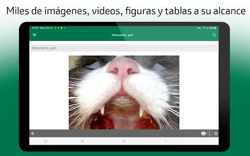 Скриншот 7 — Manual de Veterinaria MSD