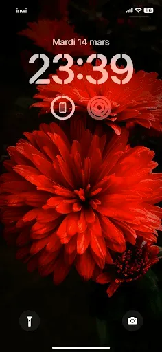 Скриншот 2 — NatureWalls Nature Wallpapers