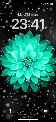 Скриншот 5 — NatureWalls Nature Wallpapers