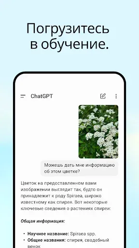 Скриншот 4 — ChatGPT
