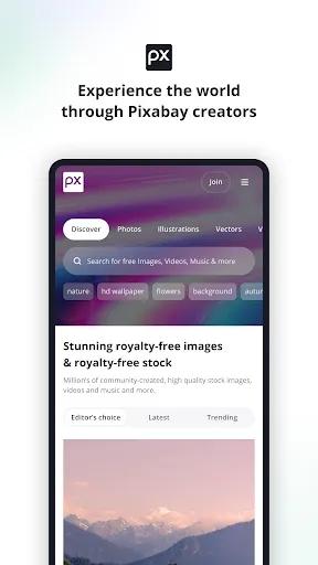 Скриншот 1 — Pixabay