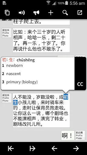 Скриншот 4 — Pleco Chinese Dictionary