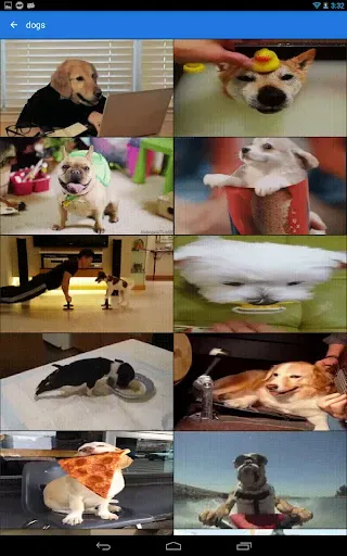 Скриншот 5 — GIF Keyboard by Tenor