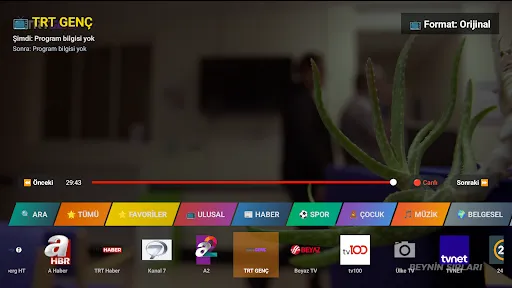 Скриншот 8 — Beleş TiVi
