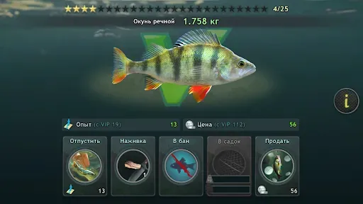 Скриншот 1 — Рыбалка: World of Fishers