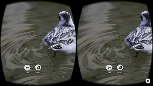 Скриншот 3 — FD VR - Virtual Photo Gallery