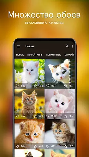 Скриншот 2 — Обои котята | Котики PRO