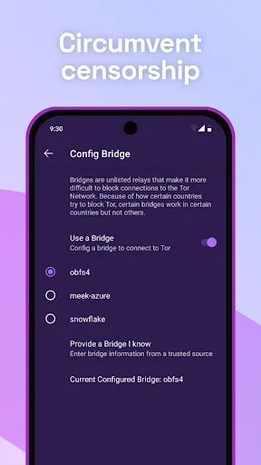 Скриншот 2 — Tor Browser