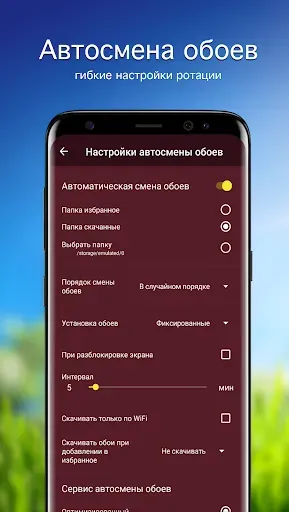 Скриншот 4 — Обои с тюльпанами | Тюльпаны