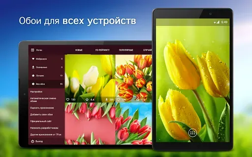 Скриншот 5 — Обои с тюльпанами | Тюльпаны
