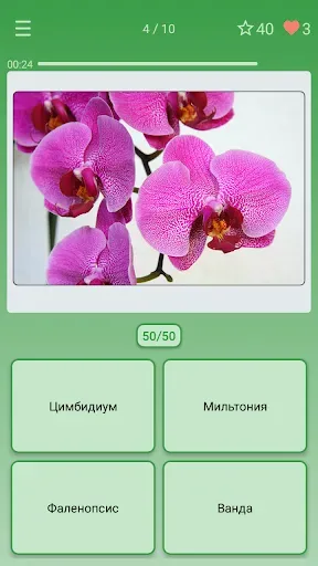 Скриншот 1 — Викторина: угадай цветок