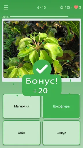 Скриншот 2 — Викторина: угадай цветок