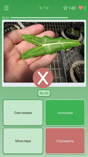 Скриншот 3 — Викторина: угадай цветок
